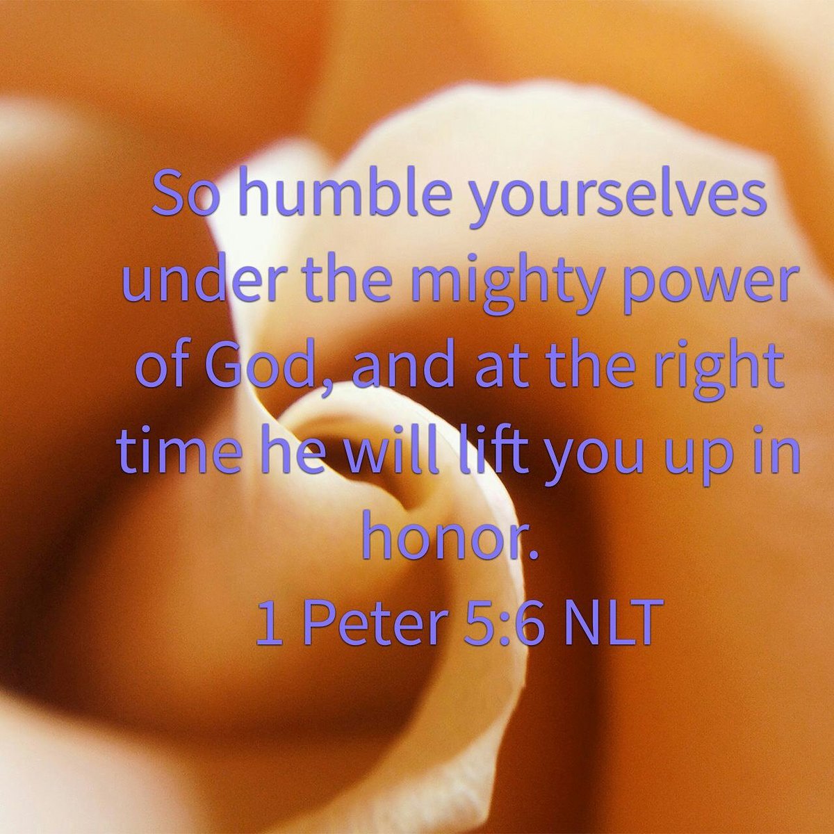 uwabeloved's tweet photo. Humility pays. Let's make 2017 a #noscheming year. Dream big, work hard &amp; let God do the promotion #humilitypays https://t.co/sUctCthrDs
