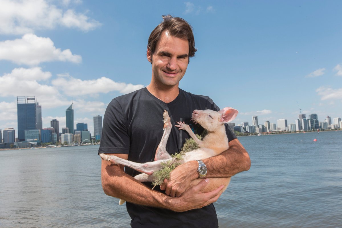 Hopman Cup (@hopmancup) on Twitter photo When Roger met Casper, the friendly <a href="/WestAustralia/">Western Australia</a> host...
#HopmanCup #justanotherdayinWA When Roger met Casper, the friendly <a href="/WestAustralia/">Western Australia</a> host...
#HopmanCup #justanotherdayinWA