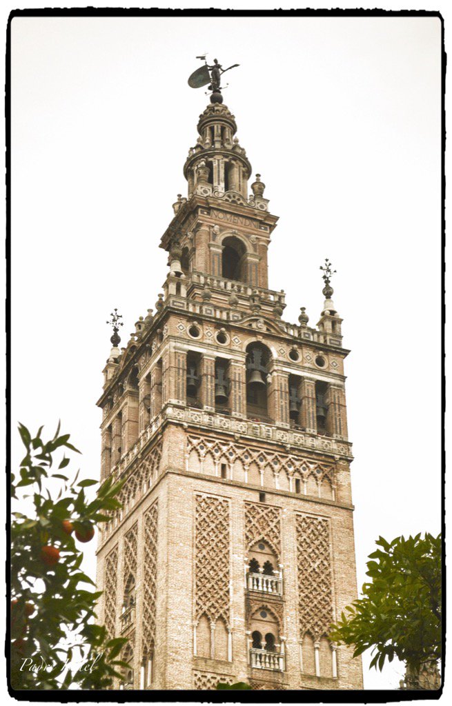 Dominuspars's tweet image. 