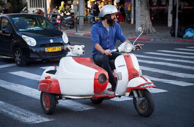 IsraelisDrive's tweet image. #israelisdriveanything