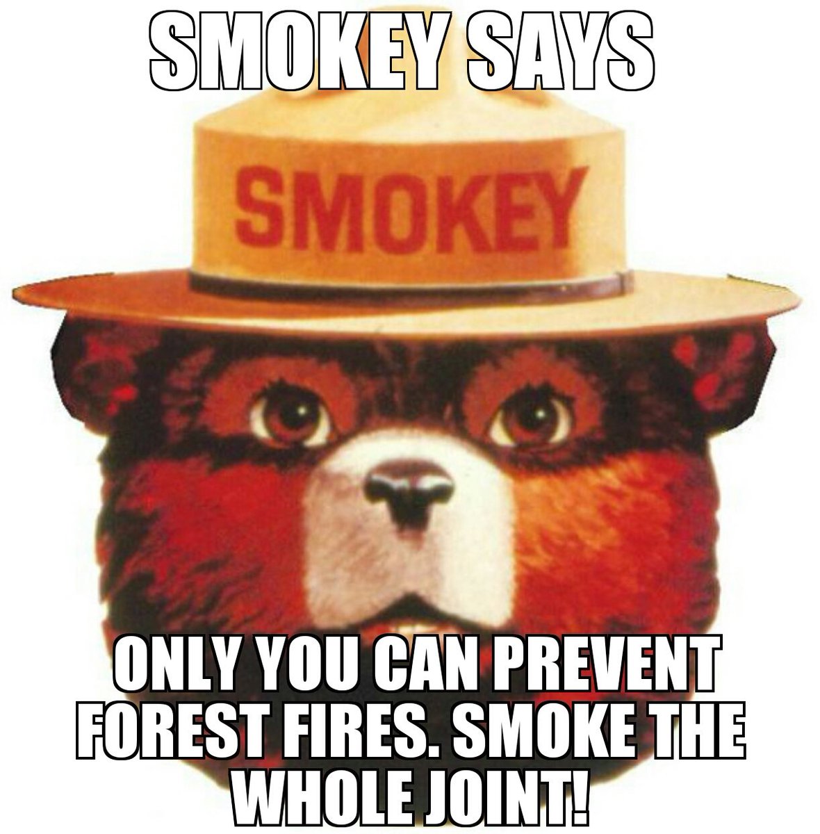 MovementOregon's tweet image. 