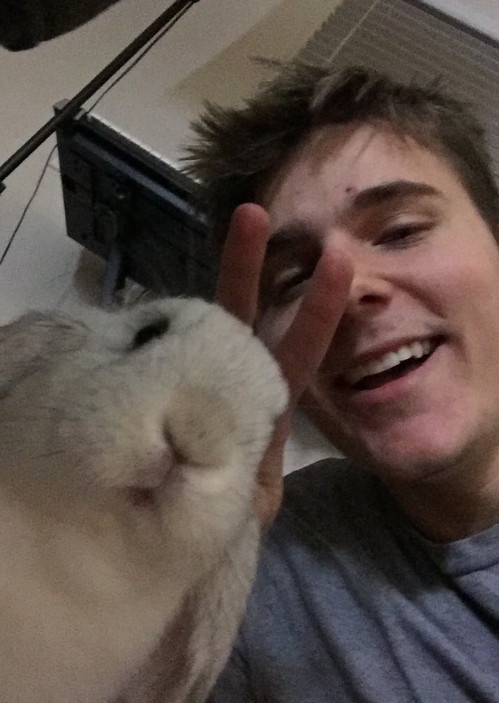 AlexErnst's tweet image. my pet rabbit has no idea i gave it two bunny ears while this photo was being taken haha idiot