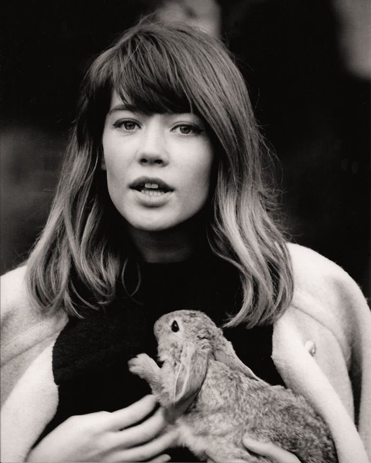 FRANÇOISE HARDY C1Tj-1AUcAAe1zK