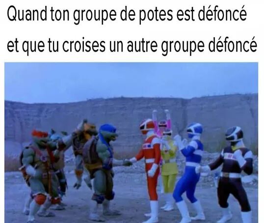 PouletsForets's tweet image. 