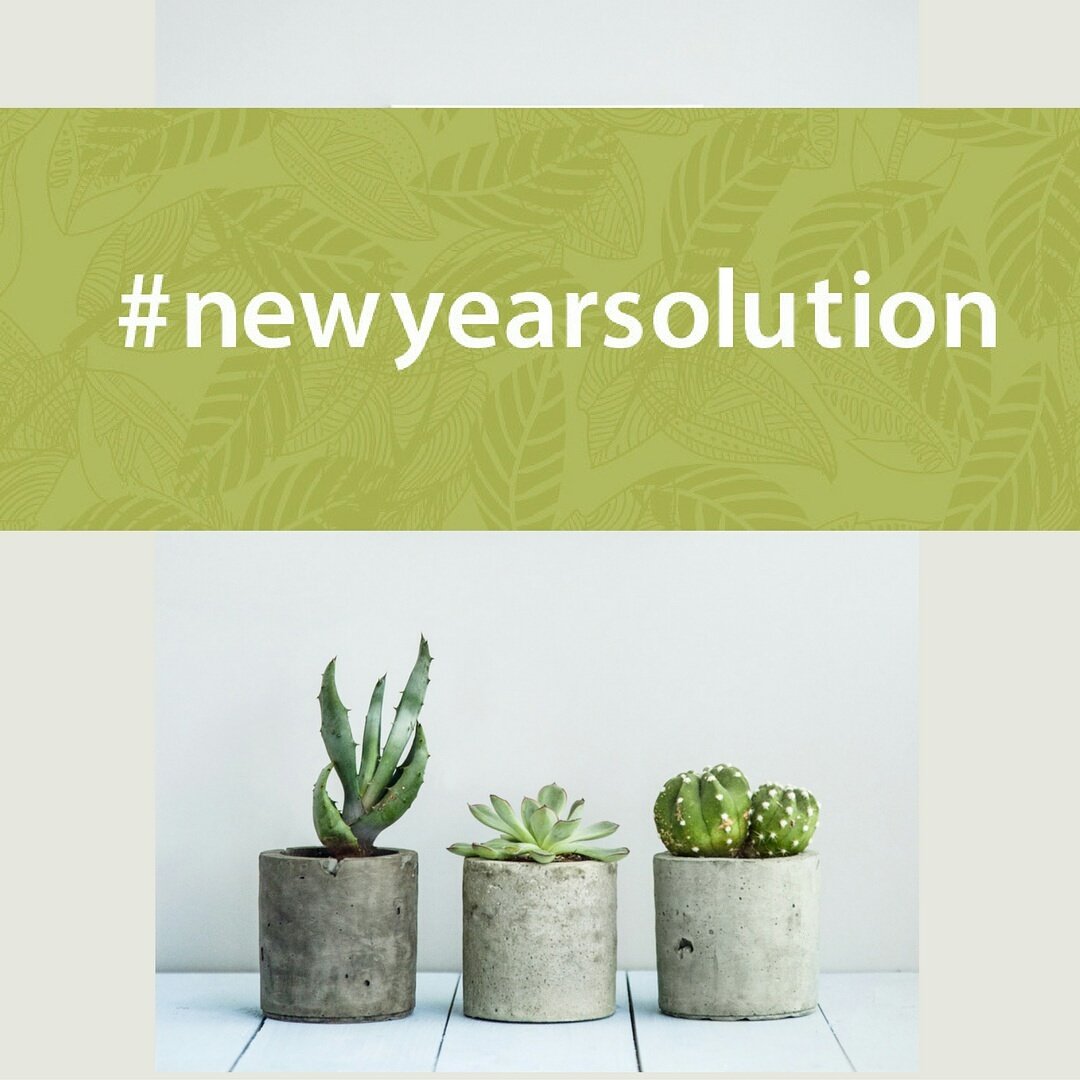 Faithful2Nature's tweet photo. #NewYearsResolution? What about in 2017 we rather talk about how we can contribute to #NewYearSolution https://t.co/MrYg0YgzeF