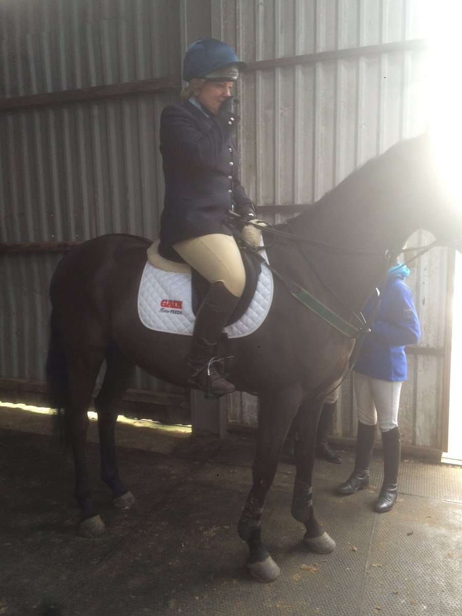 GAIN Equine Nutrition tweet media