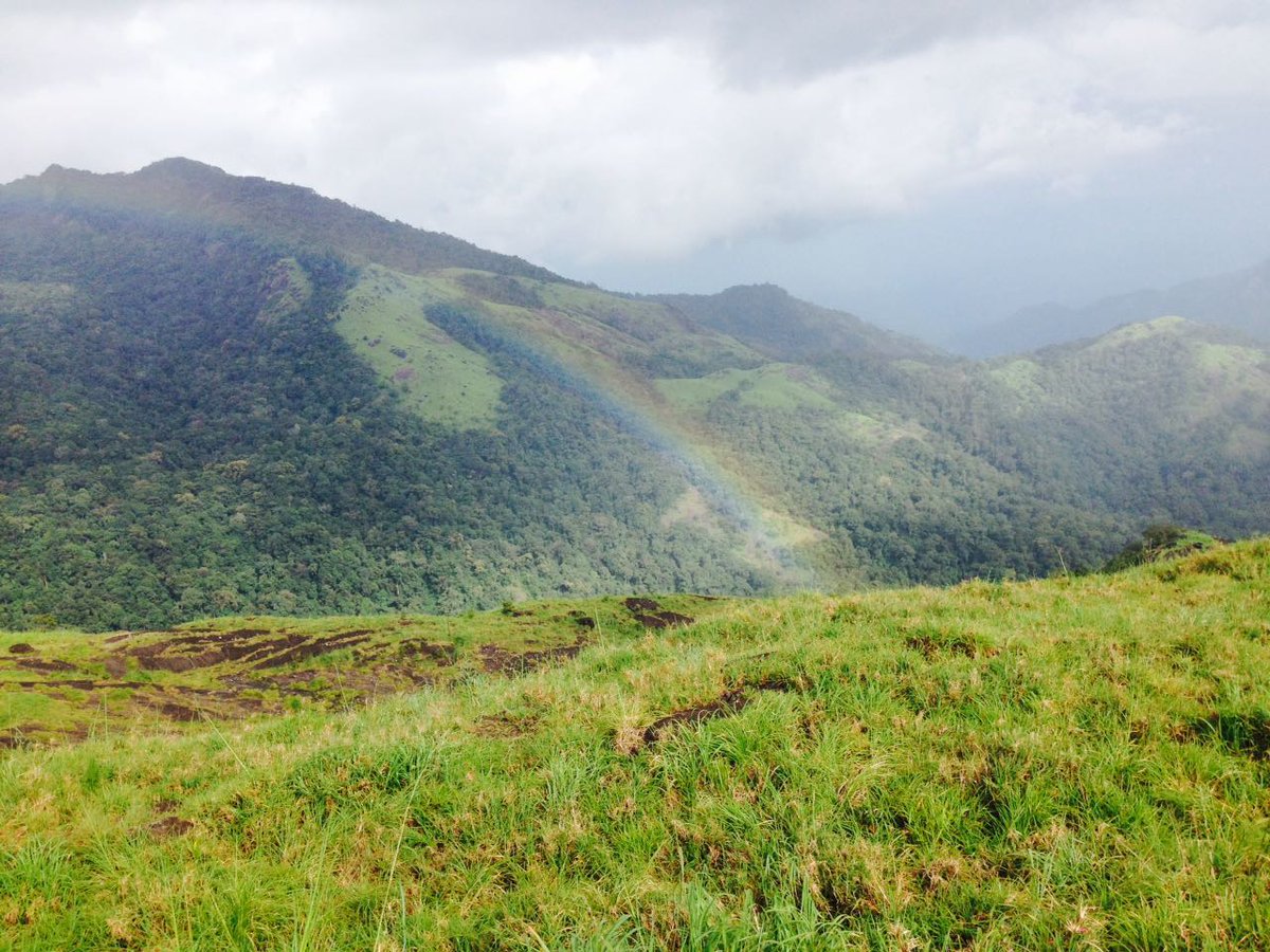 wanderlustkera's tweet photo. #Wndrlst #Kerala #Malapprm dt # Nilambur #Ccol #Climate #Highrnge #Truckng https://t.co/j27ULwoDMo