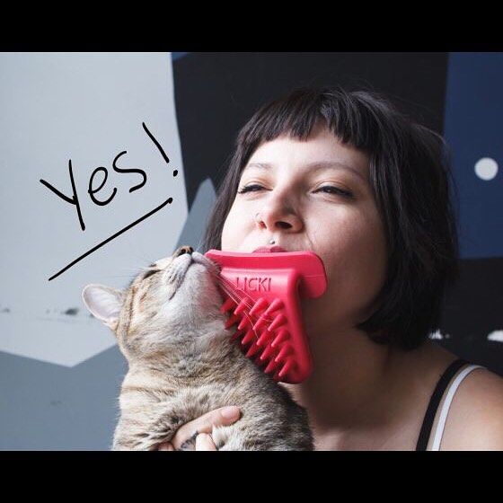 Do you follow me on #Instagram? See what fuckery I post: https://t.co/vsn90CXPHP  #DDlg #kittenplay #bdsm<a href="/tag/instagram"class="tags">#Instagram</a><a href="/tag/bdsm"class="tags"><span>#bdsm</span></a><a href="/tag/ddlg"class="tags"><span>#ddlg</span></a><a href="/tag/kittenplay"class="tags"><span>#kittenplay</span></a>