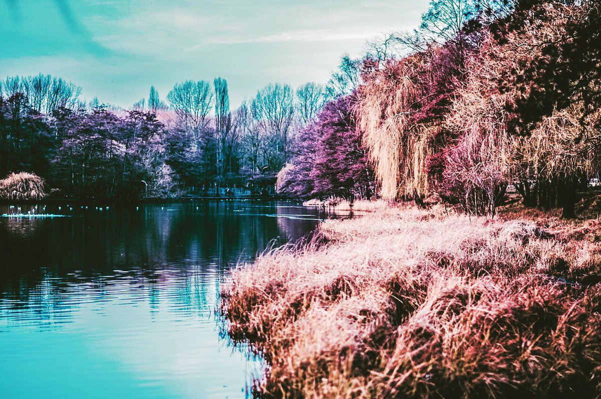 thejohnrourke's tweet photo. Fujifilm X-T1ir #fujifilm #xt1ir #Infrared #blackandwhitephotography #blackandwhite @Fujifilm_UK @FujifilmEU https://t.co/OEZGHzInFE