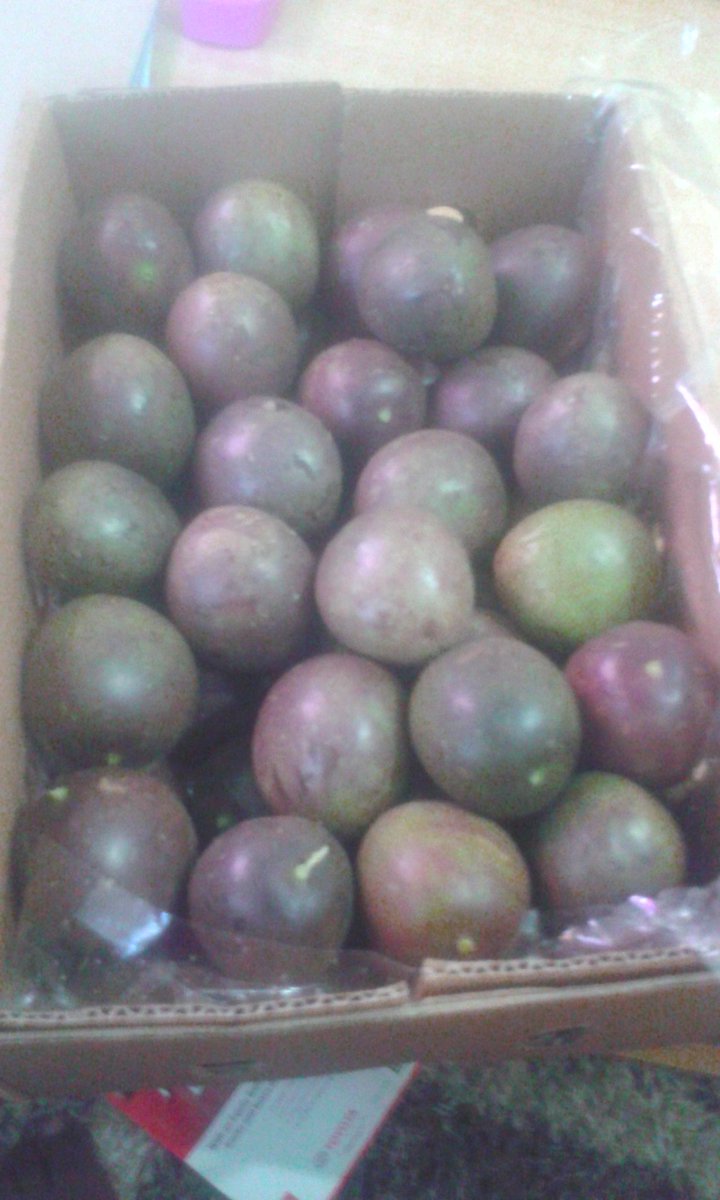 markgrown's tweet image. 