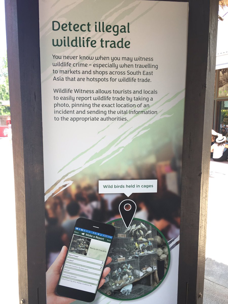 drjgreenwood's tweet photo. A great initiative - PLEASE SPREAD  WORD - especially amongst travellers 🐼🦁🐯 #wildlifewitness #travel #wildlife #travelin2017 #AnimalRights https://t.co/OpTg3BFwz8