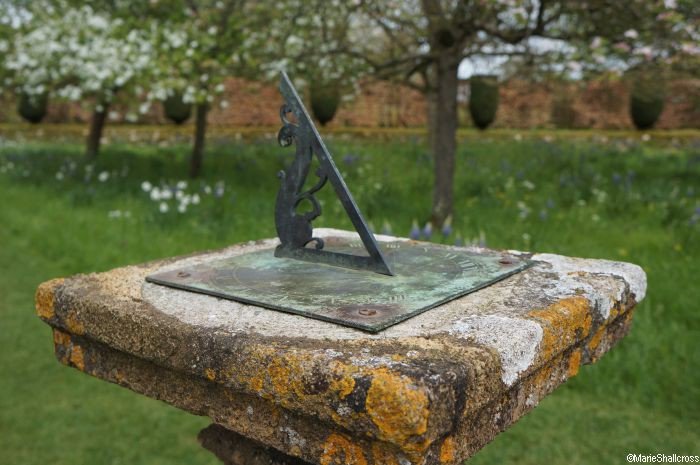plewsgd's tweet photo. Garden Planning - Your New Year's Resolution for Your Garden Sharing a few #gardeninglessons tips with you https://t.co/OSH0dqoY5g #plews https://t.co/DJCsyzTCup