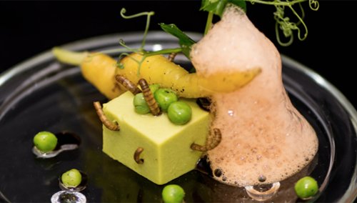 Find out where to buy or eat #nsects in Europe, from #restaurants to #FoodTrucks ! bit.ly/2j83ToE