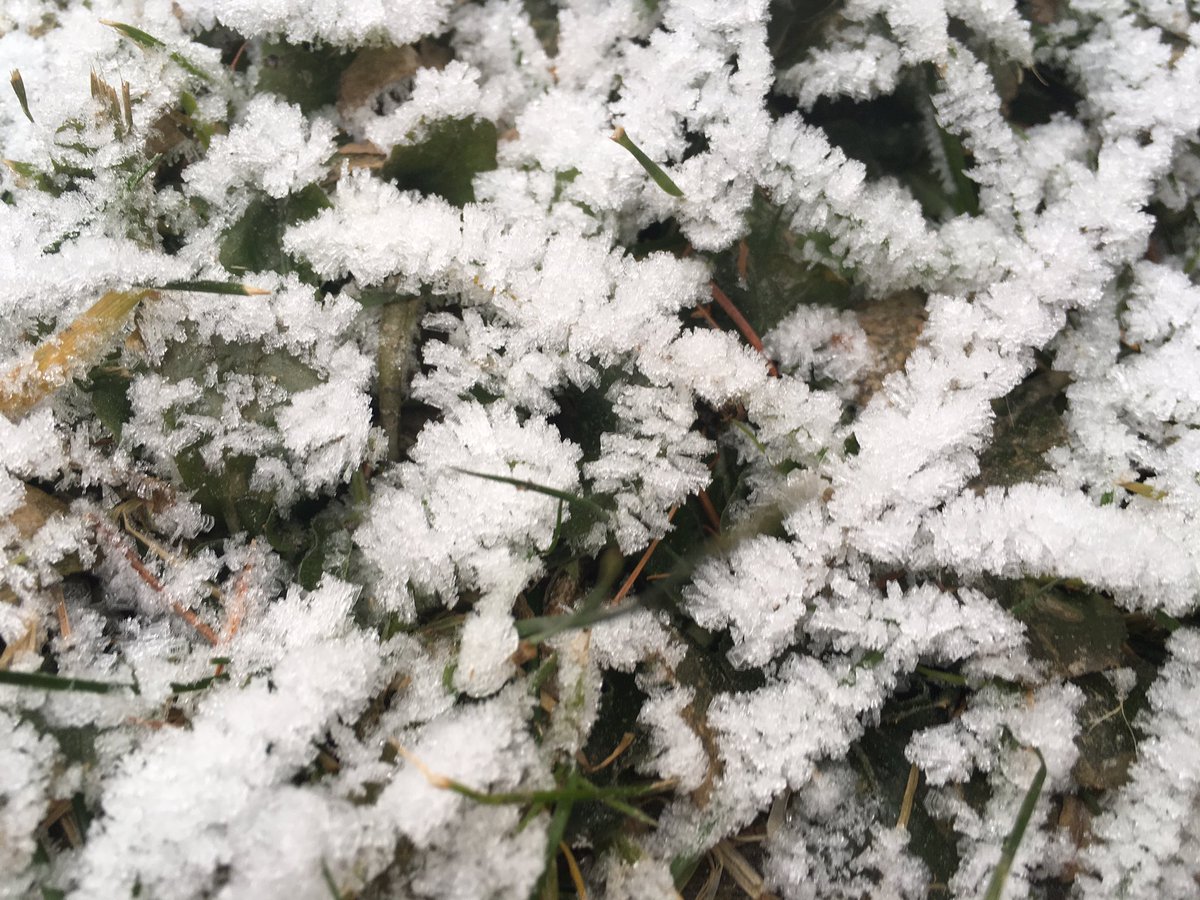 ultrabritton's tweet photo. Gooooood morning! Some easy running in the frost today & it's a balmy -1 #frosticles https://t.co/3oyyjmzjJH
