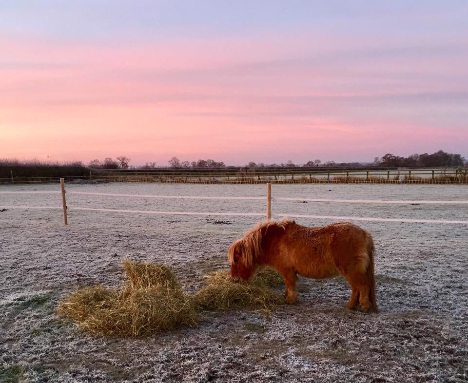 hendrickshollow's tweet photo. Happy new year to guests old and new! Looking forward to welcoming some back and meeting new :)  #holidaylet #northyorkshire https://t.co/bzH2BsJs7j