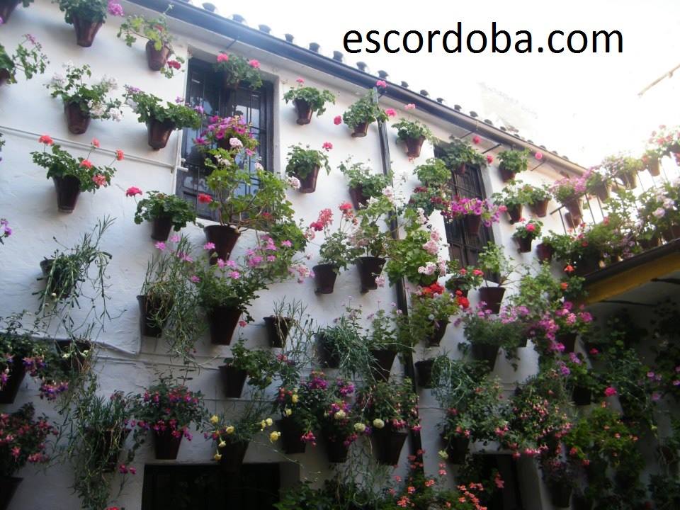 Los Patios en Navidad’ acrecienta en 2016 la afluencia de visitantes y aúna folclore, flamenco y música clásica escordoba.com/?p=35055