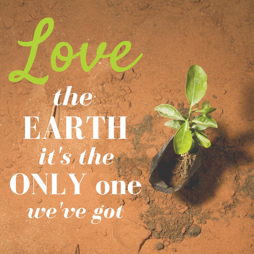 Greenpop's tweet photo. https://t.co/WnKZnRfGGz
