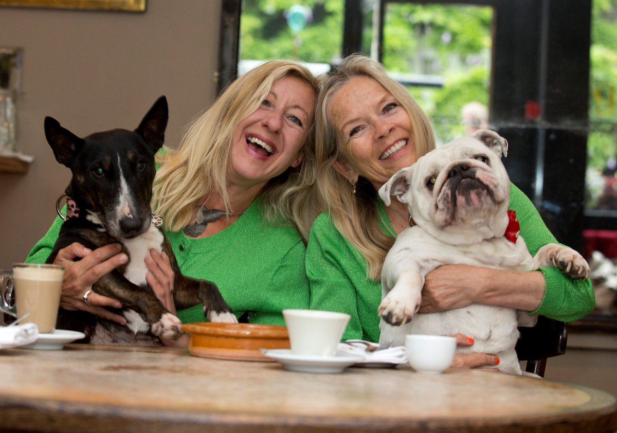 annawebbdogs's tweet photo. Tune into The Barking Hour with Jo Good &amp; Anna Webb tomorrow @BBCRadioLondon 3-4PM, even if you don't like dogs, you'll love the people! https://t.co/M7LZ0eSlhx