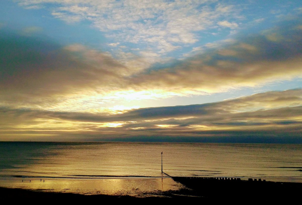 Zoë-Writer tweet media