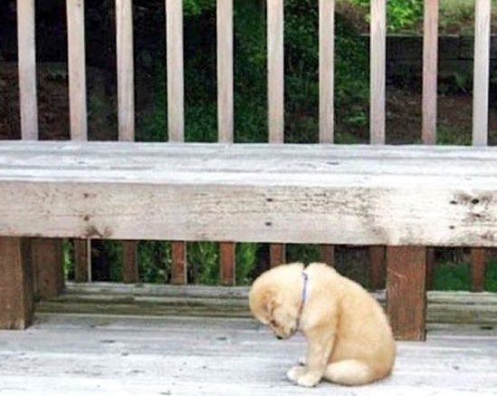 Wonderinquote's tweet photo. When the holidays are over and you gotta face reality again. https://t.co/7oUIyiIgVB