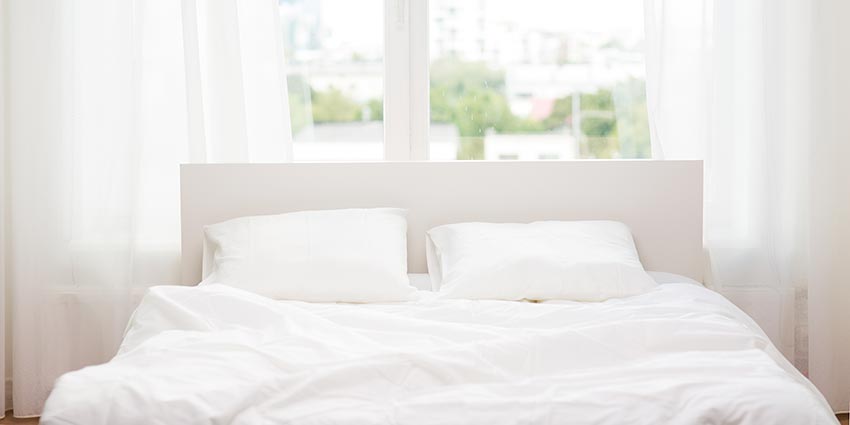 911BedBugs's tweet photo. Having #BedBugs In Your House? Don’t Believe On The Most Common Bed Bug Myths. https://t.co/r8m1H8p8AD #pestcontrol #Exterminator #911bedbug https://t.co/W8ovFjr968