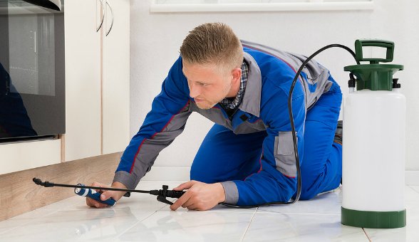911BedBugs's tweet photo. Five Essential Tips To Choose The Reliable #BedBugExtermination Company https://t.co/9jTQOgxwJB #Toronto #PestControl #911BedBugs #Vancouver https://t.co/Yk4m0Y7cXV