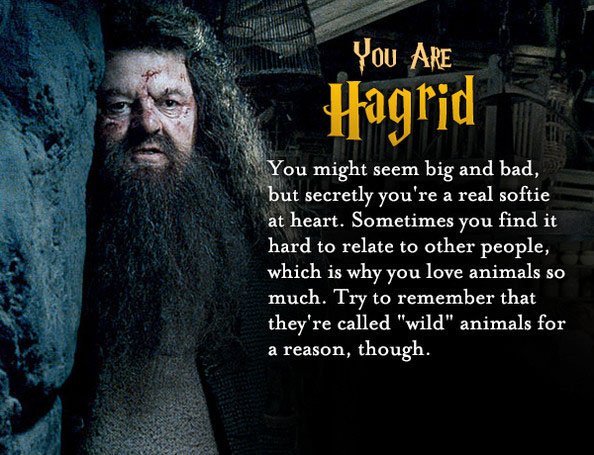 DebbyDebson's tweet photo. I'm Hagrid. Discover which #HarryPotter Character you are! TRY THE QUIZ: https://t.co/A8wZpkiAgL https://t.co/H8EUKtNJyc