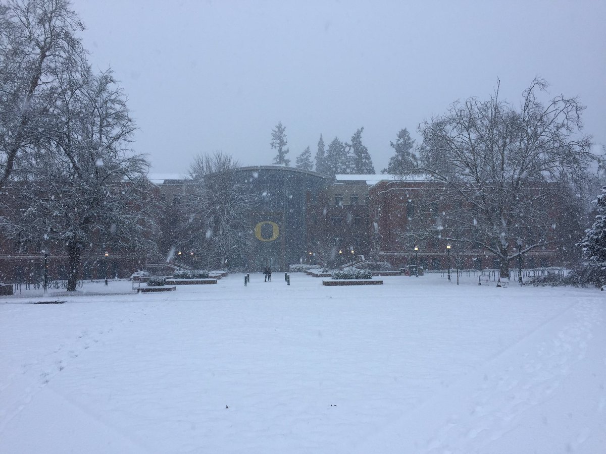 CallMeADuck's tweet photo. We see you winter term. #CallMeADuck #DucksOverBreak https://t.co/Qp7Vgr1Fbp