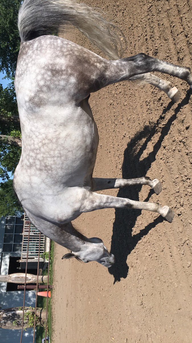 efwalker_em's tweet photo. HES GROWN UP SO FAST IM CRYING😭😩😢 https://t.co/63MUliI8z7
