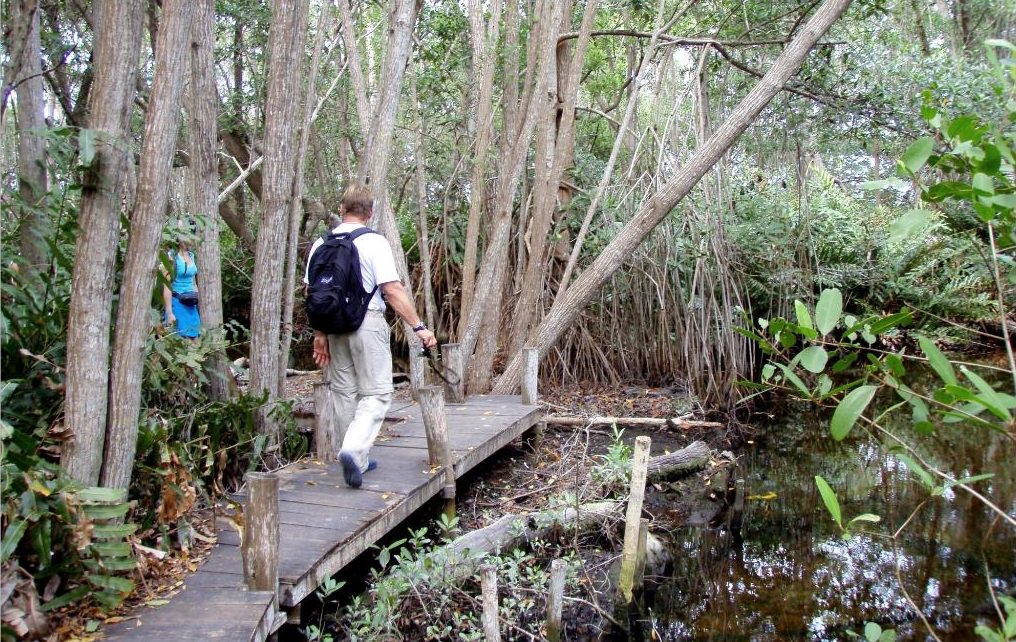 YucatanTurismo's tweet photo. "Sin duda una de las máximas bellezas naturales que podemos encontrar en Celestún" -TripAdvisor: https://t.co/r2arHsJ6Ry https://t.co/cq4V3osVO2