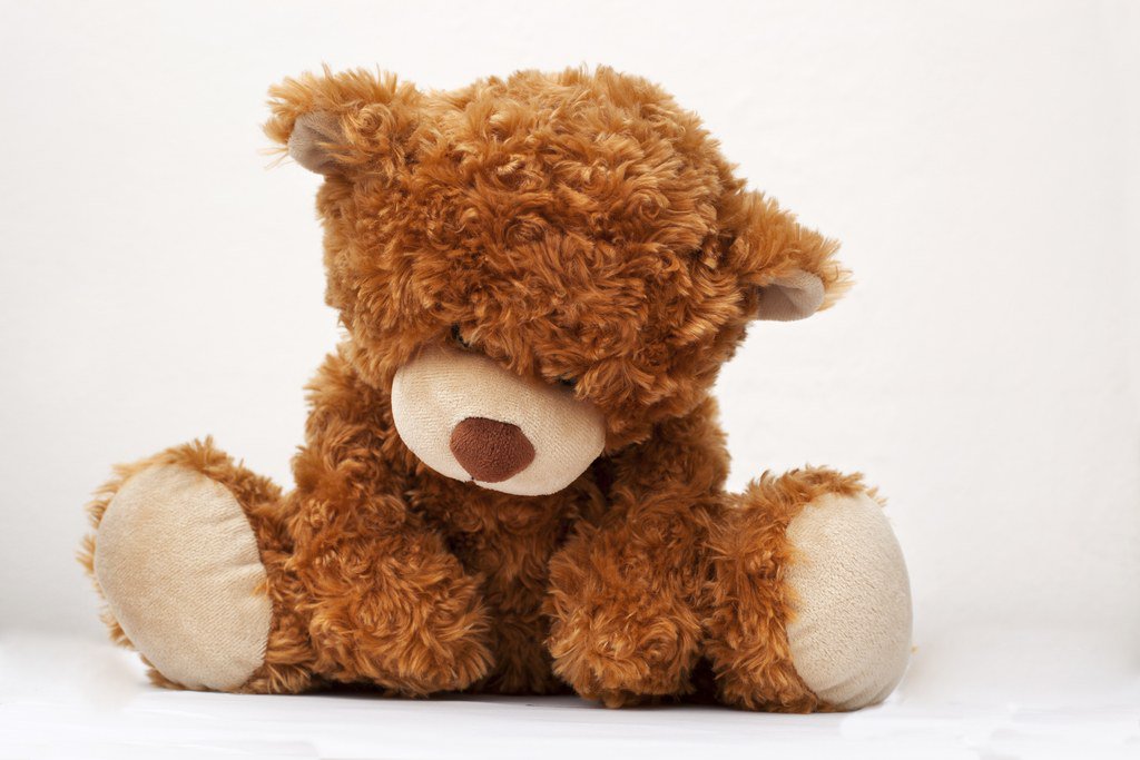 CNTraveler's tweet photo. This lost teddy bear named Shackleton is traveling Europe for free in search of its owner https://t.co/0MDvbxuC3D #GetShackletonHome https://t.co/3Wjwhp0voh