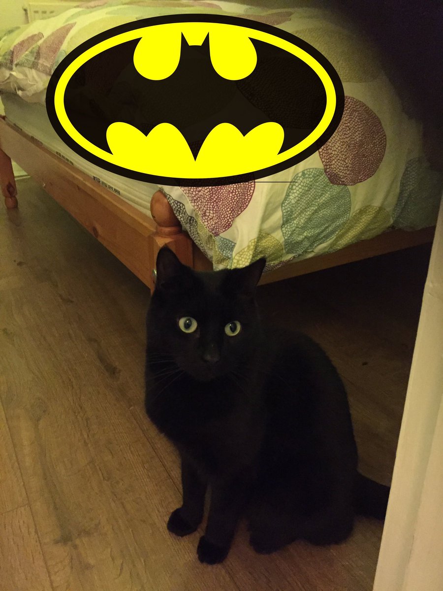 NaughtyOrso's tweet photo. @LEGO_Group @LEGOBatmanMovie  I think Robin might be missing...
https://t.co/Wgp1qKHMim https://t.co/8cONQhP53r