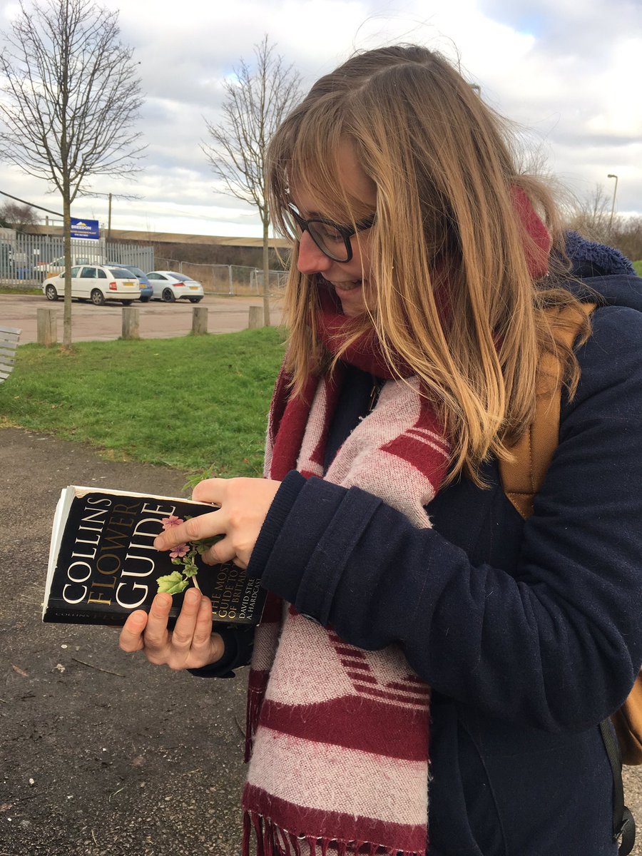 DrCiaraDwyer's tweet image. @AkkermanKeechy learning how to do some plant id! @CENTA_NERC @BSBIbotany @lborogeog  #NewYearPlantHunt #VC55