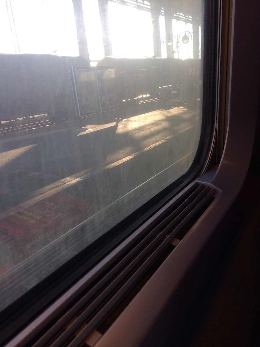 Le nettoyage des vitres du TGV La Rochelle - Paris c'est en option <a href="/SNCF/">❌</a> ?