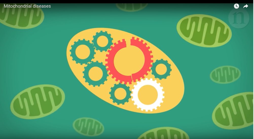 Shlevkov's tweet photo. Very cool animation by @DiseasePrimers explaining #mitochondrial diseases and what can be done to stop them: https://t.co/sGtUZaafwF https://t.co/kO7Fr8JNn9