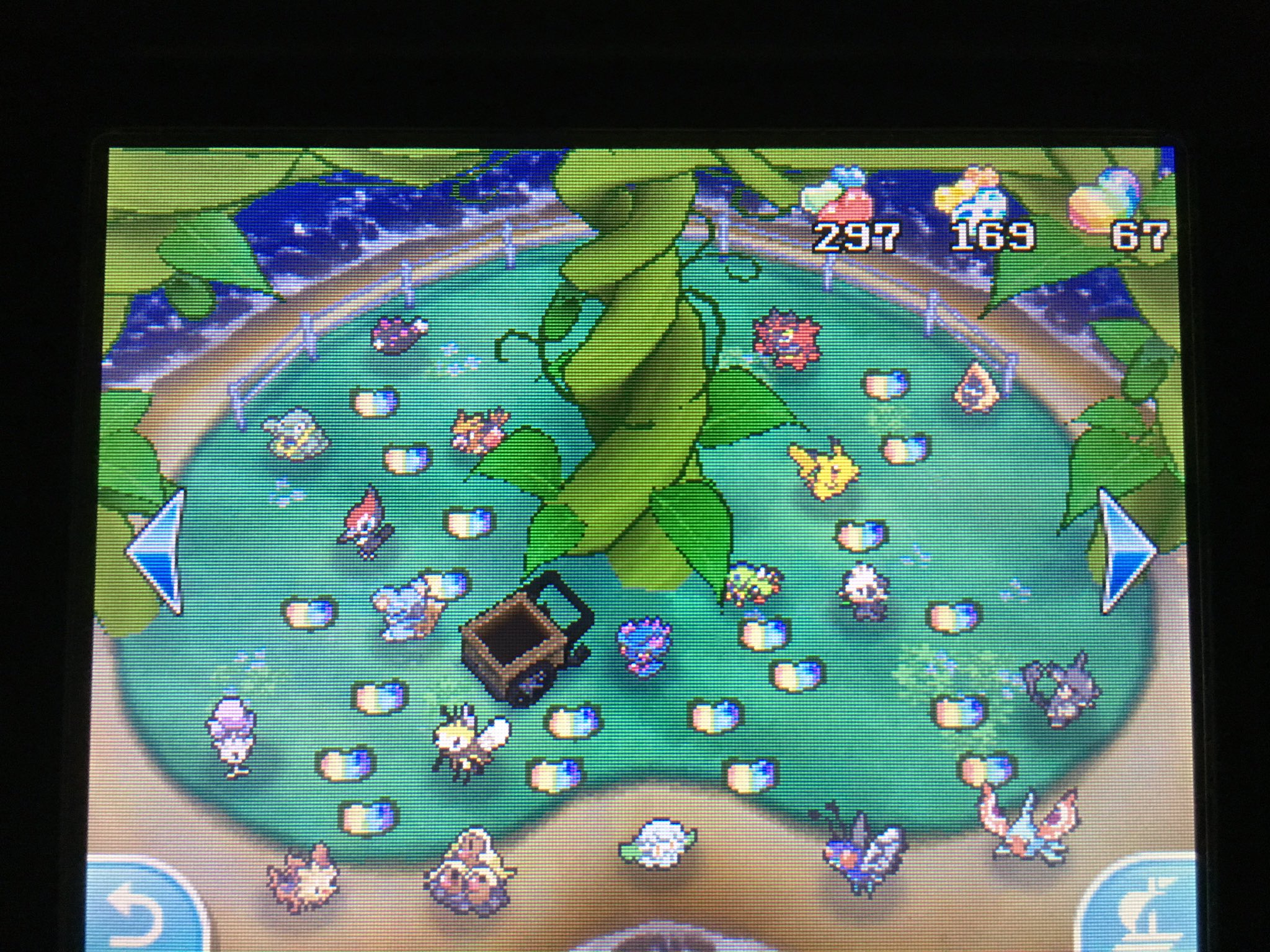 ポケモン大好きはる 色違いコダックゲット 無駄に頑張りました W ポケモンサンムーン ポケモンsm ポケモン ポケモン大好きはる 色違いコダックゲット 無駄に頑張りました W ポケモンサンムーン ポケモンsm ポケモン