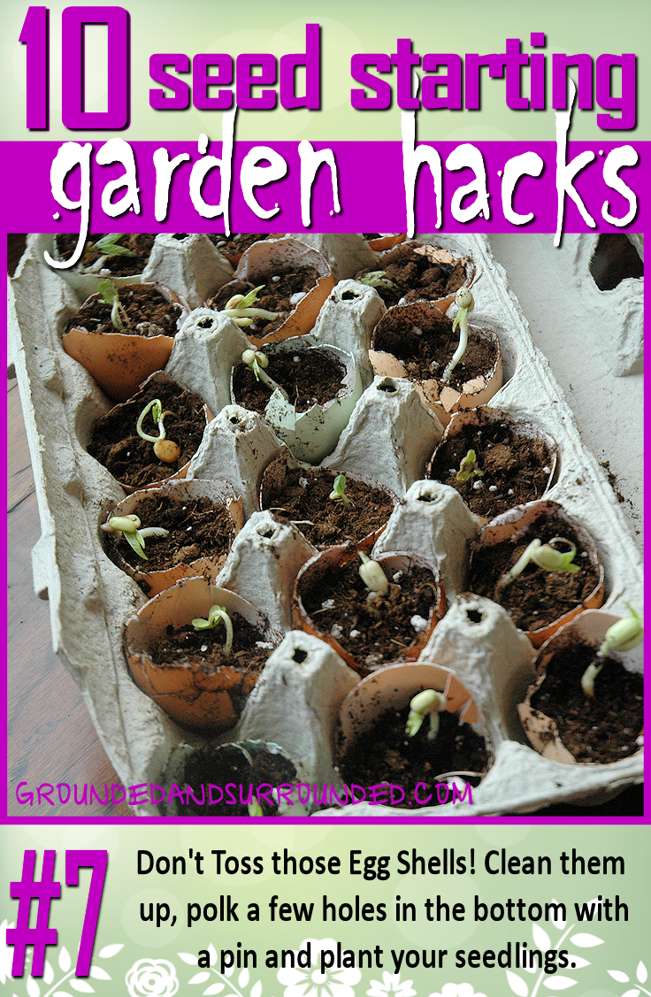 Greenseed tweet media