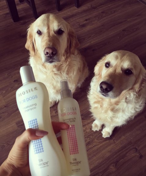 It's bath time with #BiosilkForDogs! (#regram: @justijanis)