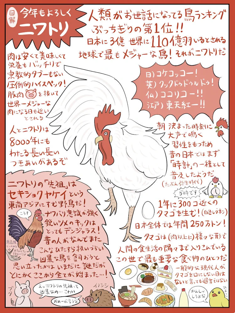 酉年のいうことで改めてニワトリを調べると謎に包まれた鳥ということがわかるｗｗｗ