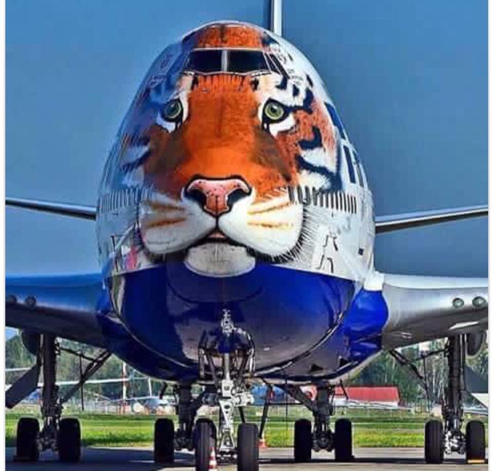 BDubbyaa's tweet photo. #CLEMSONvsBAMA week! Some kinda fun! #RollTide #RollTiger #weaintcomintolearn https://t.co/F67Hx1hVC1