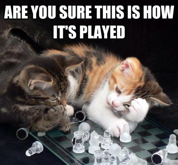 GreenfieldChess's tweet photo. #chess at the Greenfield library from 5:30-8. We'll show you #cats how. https://t.co/vQRunOEXIn