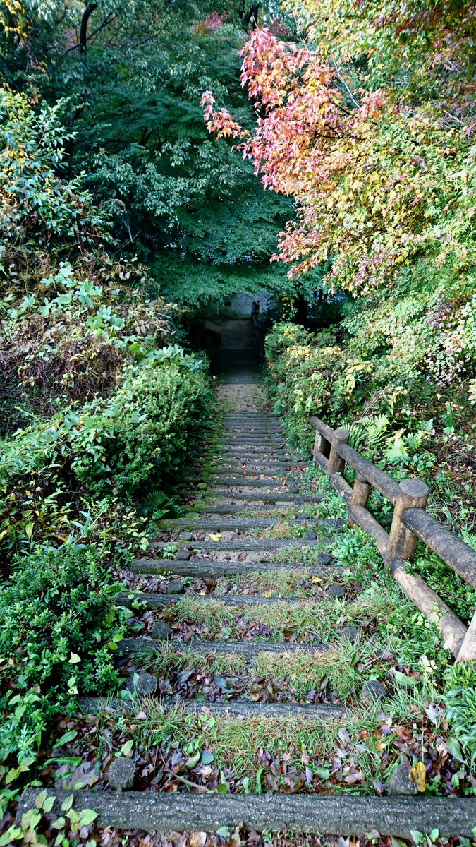 Ken0_0eye's tweet photo. こういう景色が好き📷

 #写真好きな人と繋がりたい
 #ファインダー越しの私の世界 https://t.co/LCqlclulZs