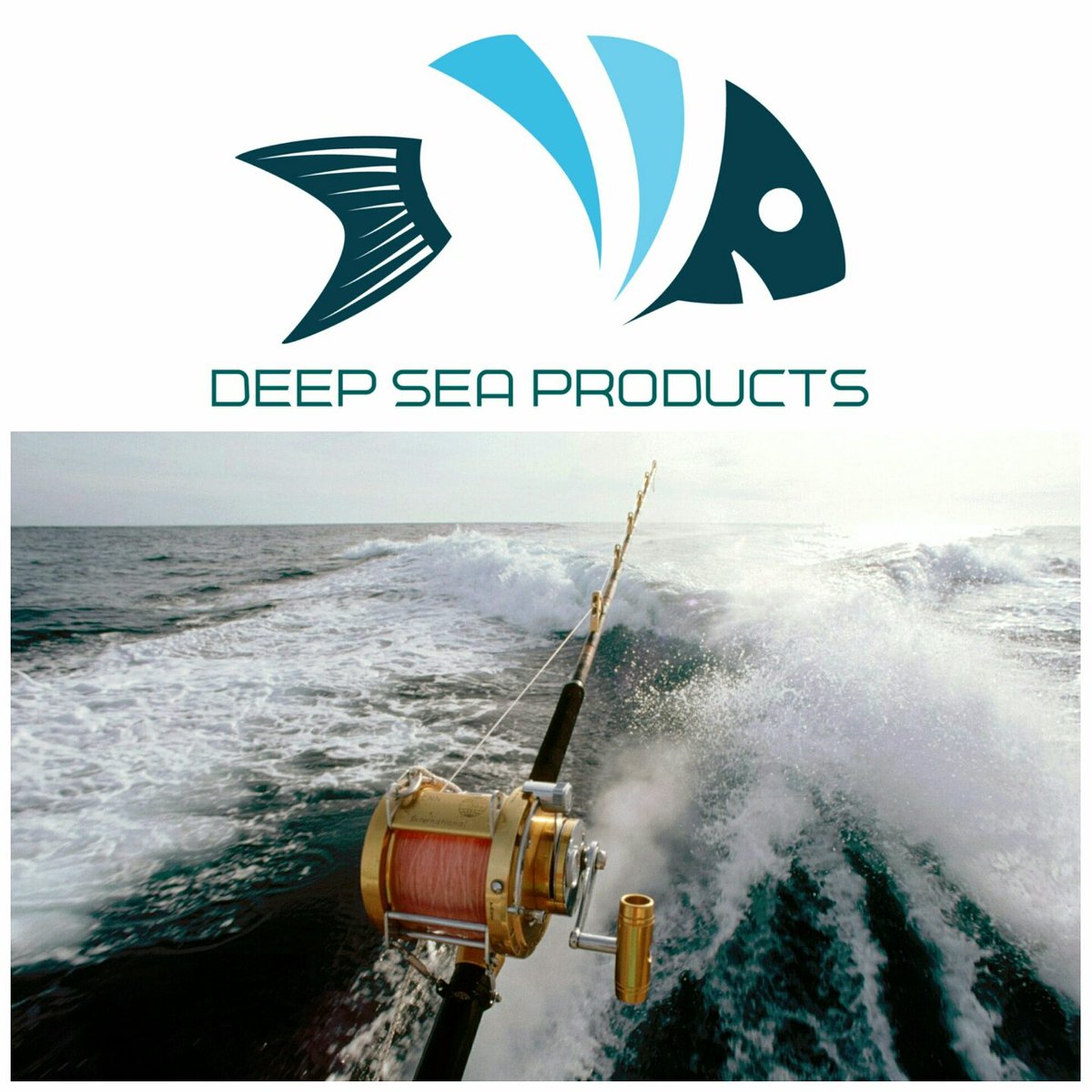 deepseasa's tweet image. Great Opportunities @ Deep Sea Products (Pty) Ltd
deepseaproducts.co.za