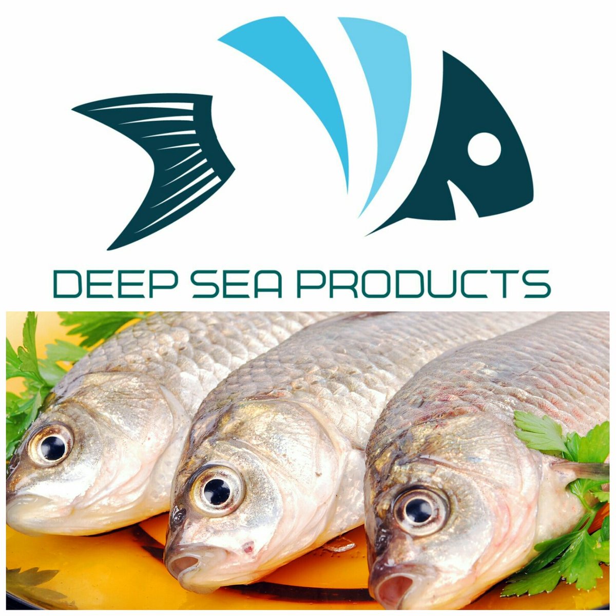 deepseasa's tweet image. Great Opportunities @ Deep Sea Products 
deepseaproducts.co.za