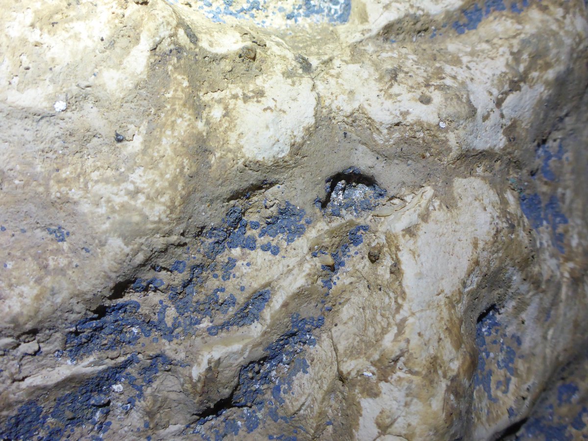 Did you see anything similar within the cave? Let us know at docs.google.com/forms/d/1snO8a…   😀✨