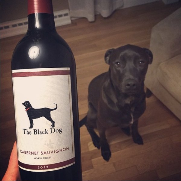 Try and find someone who doesn't love a cozy night in with a pup and a good bottle of red. Have you tried #TheBlackDog wine, yet?