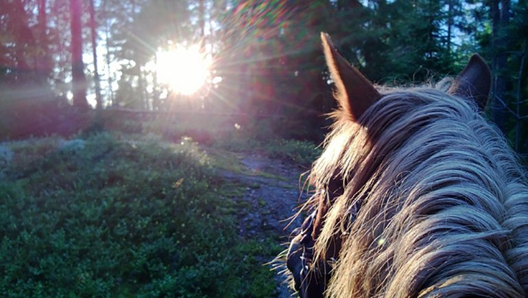 LifeHack tweet media