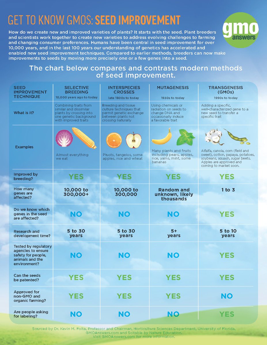 Genetic engineering is one of many seed improvement methods. Learn about 4 of the most common ways seeds are improved.