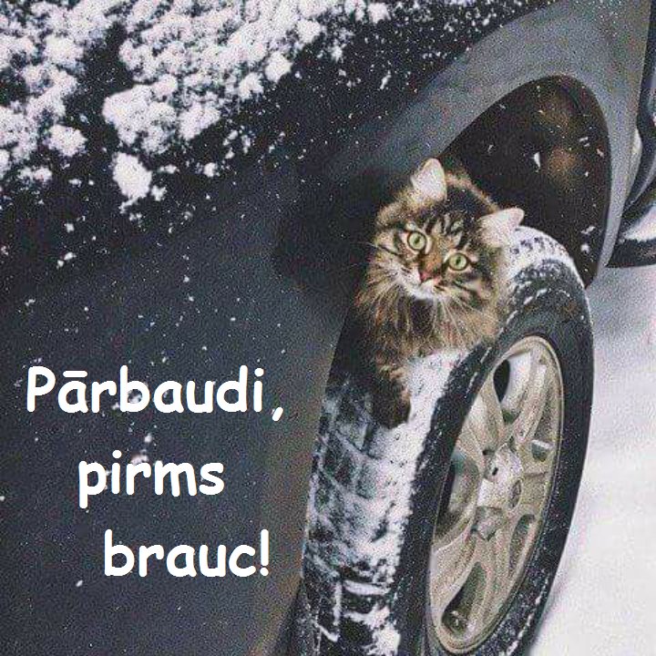 Autovadītāj!Iestājoties vēsākam laikam,kaķi,meklēdami  siltāku vietu,var ielīst jūsu automašīnā tuvāk motoram...PĀRBAUDI,PIRMS  BRAUC!