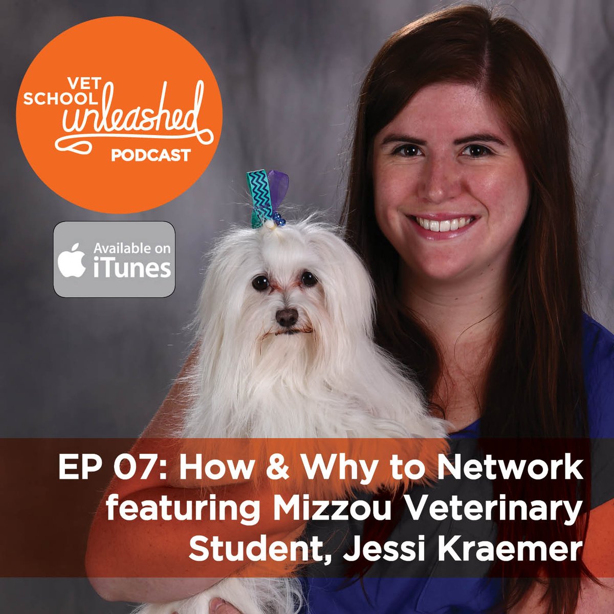 sethawilliams's tweet photo. Excited to release this episode with friend Jessi Kraemer where we talk about how &amp; why to network. iTunes &amp; https://t.co/yS8DmMCeDH https://t.co/p8YnewQFtC